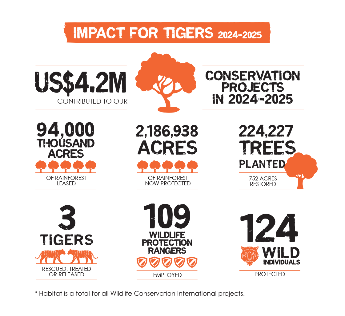 Our Impact by the Numbers
